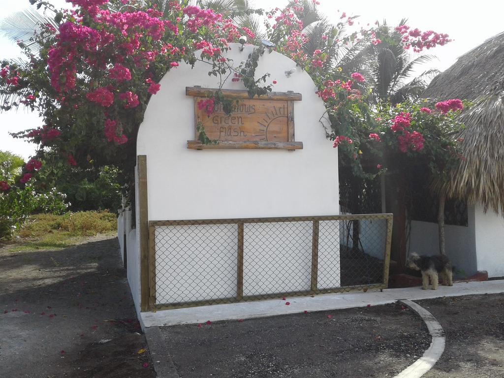 Bungalows Familiares Monterrico Exterior photo